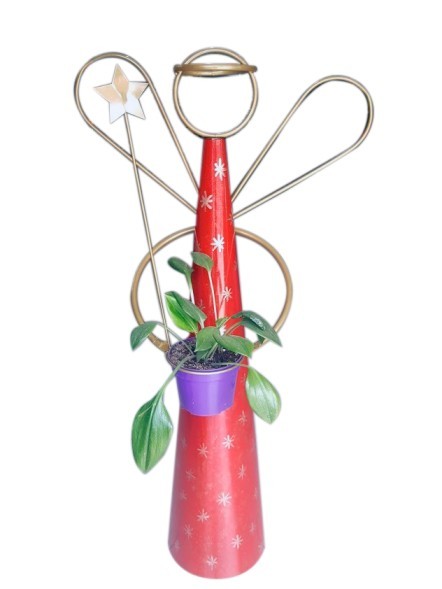 Ángel Matero Navidad