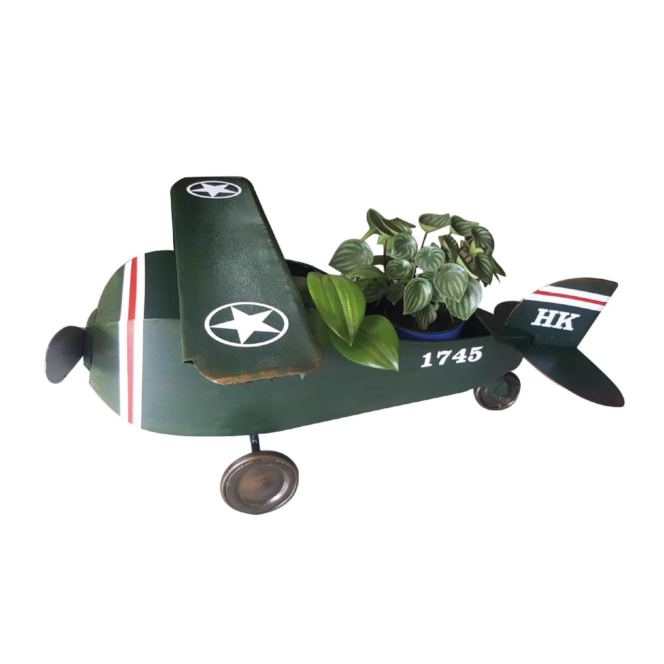 Avion Fotografía en Metal