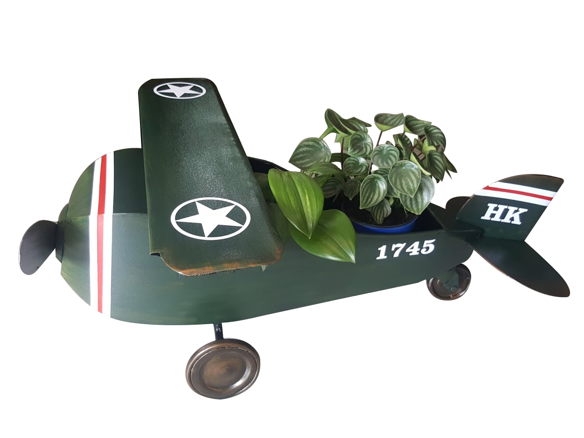 Avion Fotografía en Metal