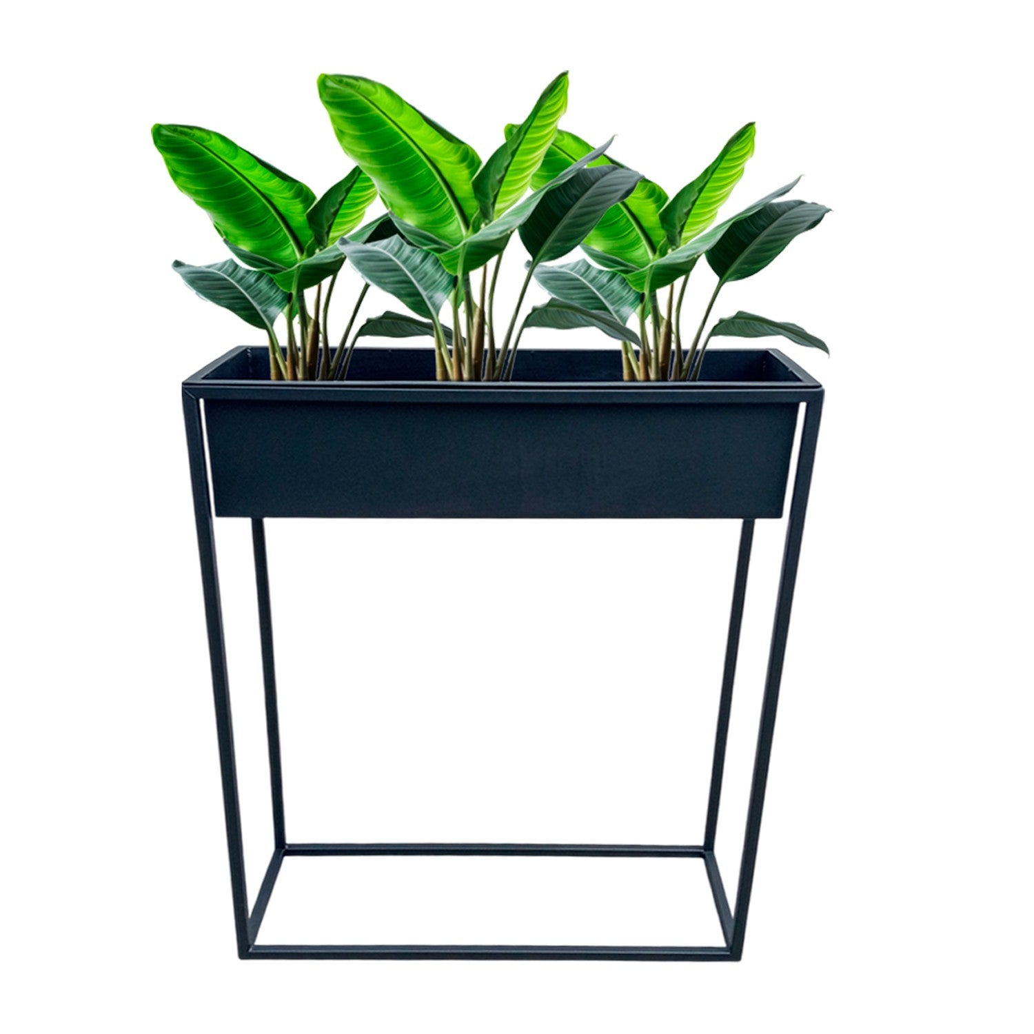 copy of Dúo matera x 2 cubos