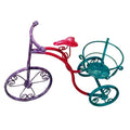 Bici pequeña
