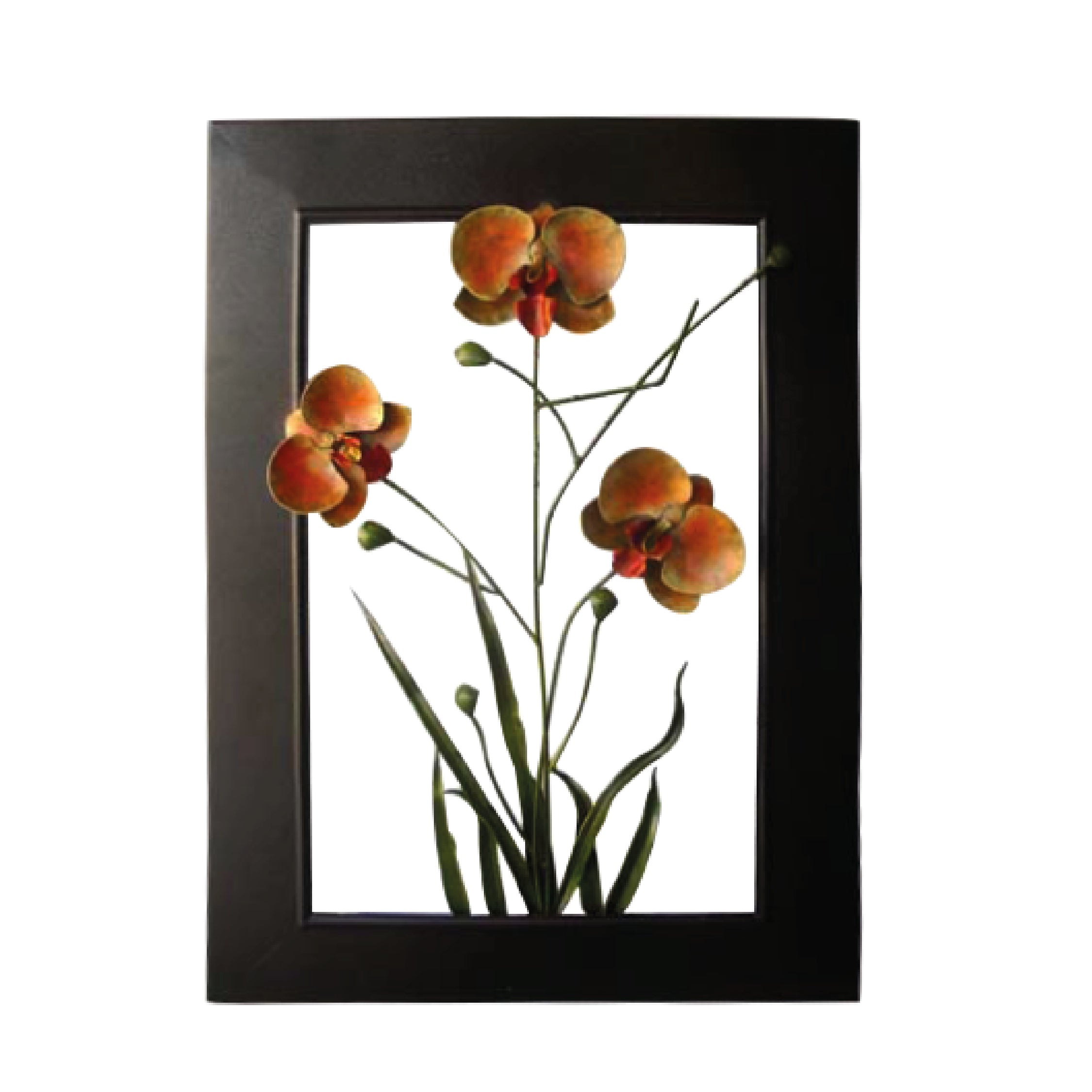 Cuadro Forjado Orquideas